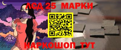 мяу мяу мука Гатчина