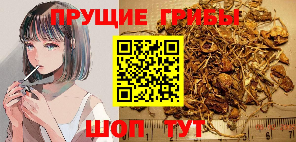 Галлюциногенные грибы Cubensis  Вход с VPN  Воткинск 
